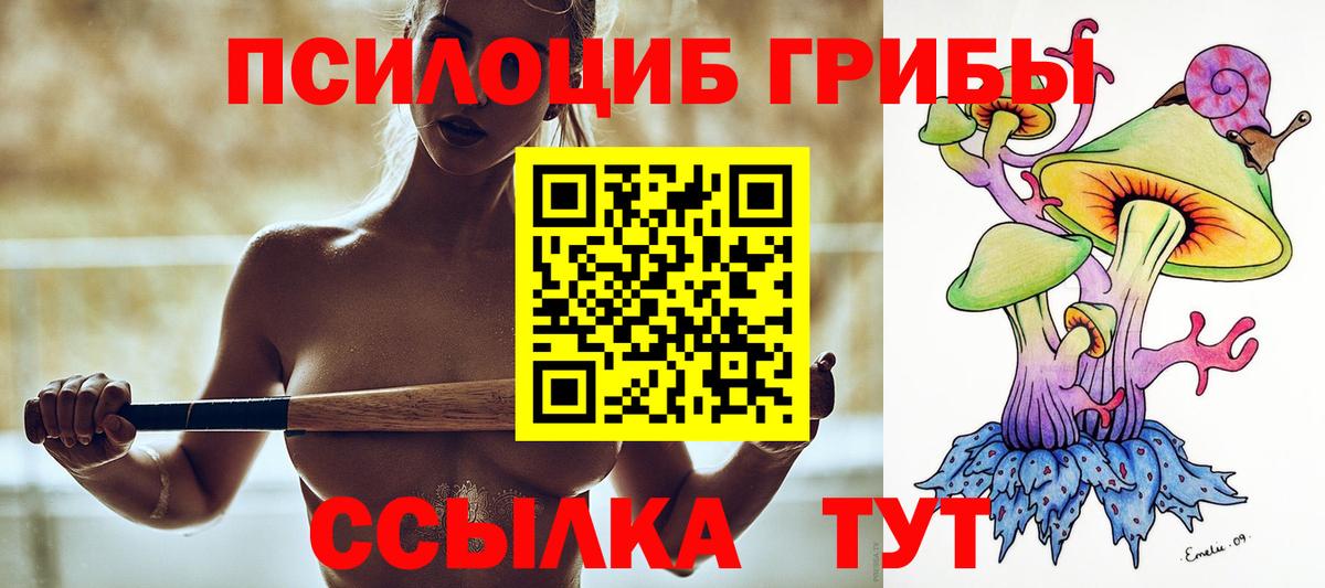 Галлюциногенные грибы прущие грибы  Вход с VPN  Железноводск 